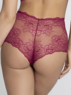 High Waist Shorty SUBLIME EN DENTELLE Von Lise Charmel -Pink Zebra hoher slip ach1413 sublime en dentelle fuchsia lise charmel 2 kopie 1