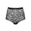 Spitze Taillen-Slip INVISIBLE CARMEN Schwarz Von Cadolle 1 Spitze Taillen-Slip INVISIBLE CARMEN Schwarz Von Cadolle -Pink Zebra invisible carmen lace high waist panties 1108l schwarz cadolle 2