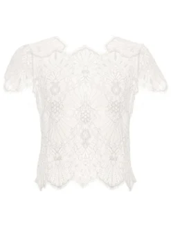 Spitze Kurzarm Top Von Prelude Milano 15 Spitze Kurzarm Top Von Prelude Milano -Pink Zebra kurzarm top spitze yl277.seta 1 prelude milano