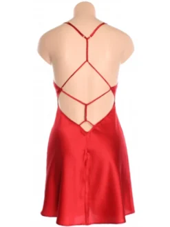 Seidennachthemd DAPHNEE Rot Oder Beere Von Marjolaine -Pink Zebra marjolaine seide nachthemd daphnee dap0101 rot ruecken 8