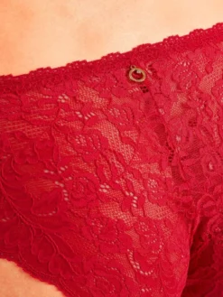 Brasiliana Slip ROSESSENCE HK Spitze Fein Von Aubade -Pink Zebra spitze dessous hk27 5 gala rot rosessence aubade 7 1 1