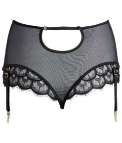 Spitze Taillenslip Mit Strapsen DIANA Schwarz Von Diamor -Pink Zebra spitzen taillenslip diana schwarz 4651 d218 diamor 2