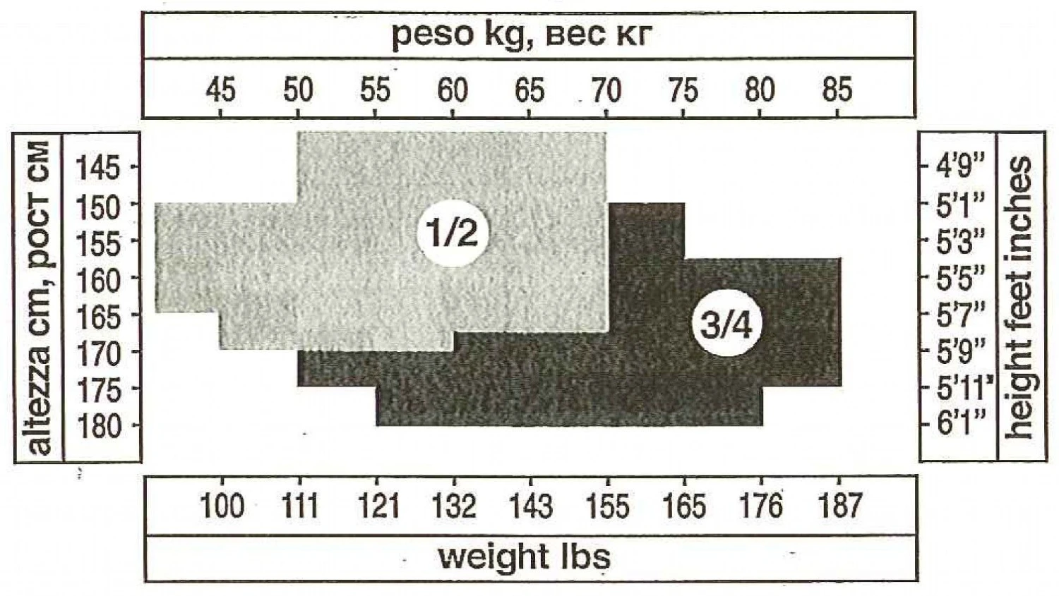 Netz Strumpfhose CURRY Von Trasparenze 6 Netz Strumpfhose CURRY Von Trasparenze – Bild 4